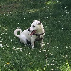 Annie Margaret Poulter - Tiktok Profile Picture of Annie Margaret Poulter (@anniepoulter) on Tiktok