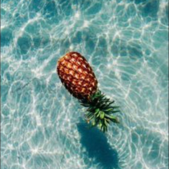 Profile Picture of Bella Bisagni (@belladog302) on Poshmark