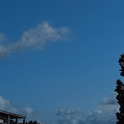 Profile Picture of Coco Johnson (@cocojohnson-wt6pb) on Youtube