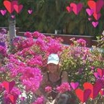 Profile Picture of Louisette Forgues (@louisetteforgues) on Instagram