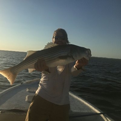 Profile Picture of Travis McMillan (@TravMc44) on Twitter