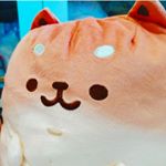 puchi - Instagram Profile Picture of puchi (@puchikokwong) on Instagram