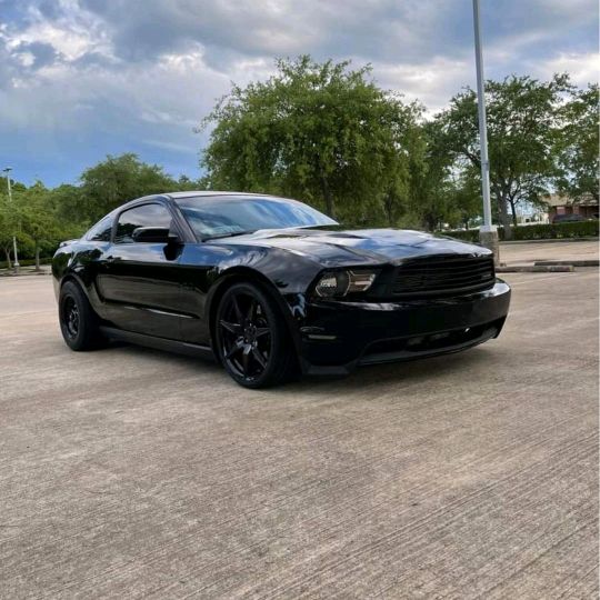 Profile Picture of Michael Rush (@michaelrush33) on Tiktok