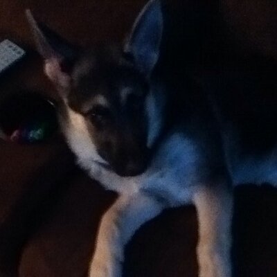 Savannah Stephenson - Twitter Profile Picture of Savannah Stephenson (@savanna32444948) on Twitter