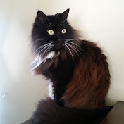 Profile Picture of Nancy Brown (@nancybrown7656) on Youtube