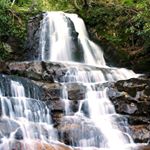 Profile Picture of Cassie Read (@book_nerd360) on Instagram