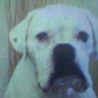 Profile Picture of Tracy Barker (@tracy-barker-5) on Quora