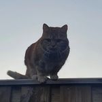 Profile Picture of seth van hensbergen (@sethvanhensbergen) on Instagram