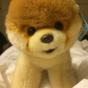 Linda Wang - Myspace Profile Picture of Linda Wang (@itingwang) on Myspace