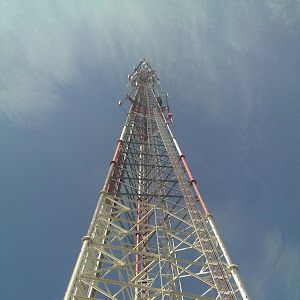 Profile Picture of Scottie Kaiser (@scottie.kaiser) on Tiktok