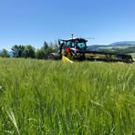 Michael Gurtner - Facebook Profile Picture of Michael Gurtner (@michael.gurtner.9843) on Facebook