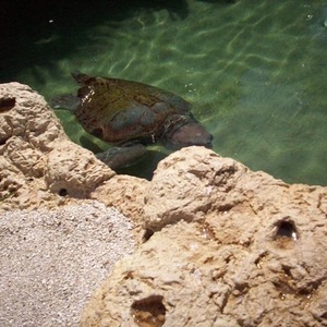 Profile Picture of Amber Martini (@220612235) on Myspace