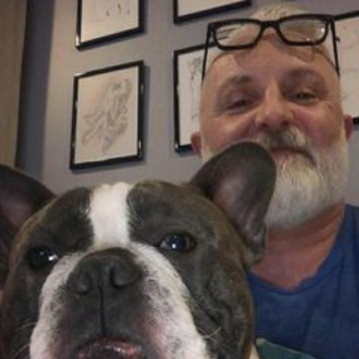 Profile Picture of David Stein (@davidstein091) on Tiktok