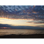 Profile Picture of Patrick Arnold (@donkeysaurus) on Youtube