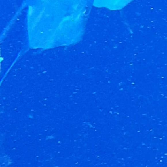 Profile Picture of Miguel Sanchez (@fredman8140) on Poshmark