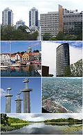 Profile Picture of Stavangeron Wikipedia