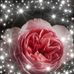 Profile Picture of Pamela Harrison (@pamela.harrison.948) on Facebook