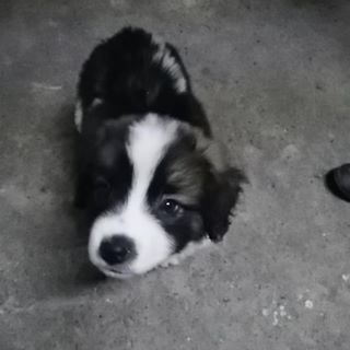 Profile Picture of Daniela AR (@daniela.ar.9809) on Facebook