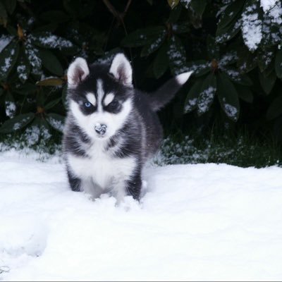 Al Farley - Twitter Profile Picture of Al Farley (@TheCaptain_Al) on Twitter