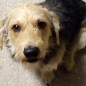 Profile Picture of Gansberger Áron (@gansbergerron) on Pinterest