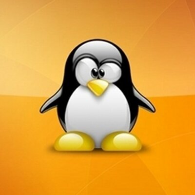 Profile Picture of Patricia Rosado (@PatriciaRosado) on Twitter