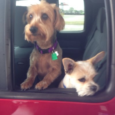 Profile Picture of Randy Agan (@randy_agan9098) on Twitter