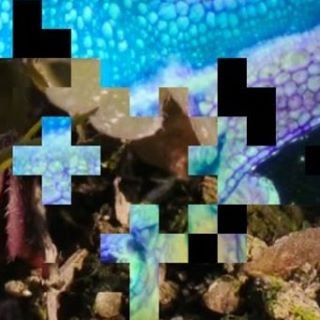 Profile Picture of Christine Meinders (@meinders_chris) on Twitter