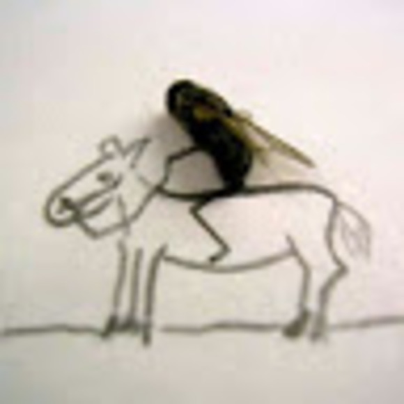 Profile Picture of David Blackburn (@lorddavis) on Poshmark