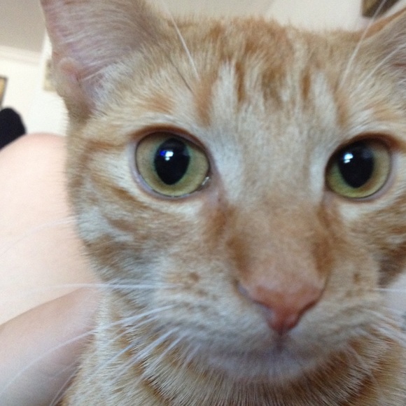 Profile Picture of America Ontiveros (@americaa7x) on Poshmark