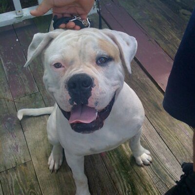 Jose Texidor - Twitter Profile Picture of Jose Texidor (@jtex84) on Twitter