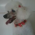 Profile Picture of Tania Benassi (@tania.benassi) on Instagram