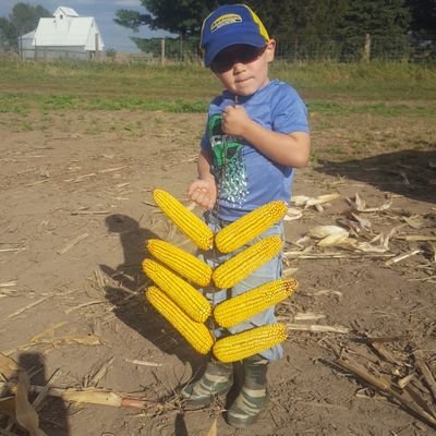 Profile Picture of Dan Lamoreux (@terredecheznous) on Twitter