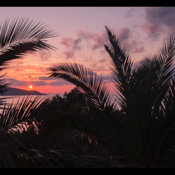 Lisa Buschur - Poshmark Profile Picture of Lisa Buschur (@lmbuschur) on Poshmark