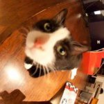 Profile Picture of Julian Cifuentes (@juliancifuentes) on Instagram