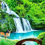 Profile Picture of Bryan Steven Marandji Moukam (@steven_stanislas) on Instagram