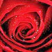 Profile Picture of Eleni Charalambous (@Elenicharalambous123) on Youtube