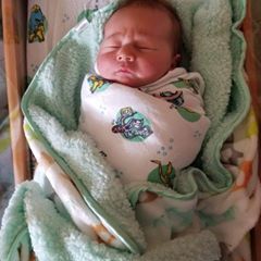 Profile Picture of Sharon Haley (@@sharonhaley) on Tiktok