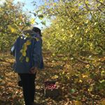 Profile Picture of Colin MacEachern (@colin_maceachern) on Instagram