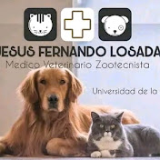 Profile Picture of FERNANDO LOSADA (@FERNANDOLOSADA-ov1jd) on Youtube