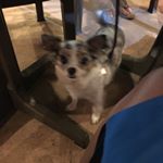 Profile Picture of Derrek Haimovitz (@thethreecrazypeople1234) on Instagram