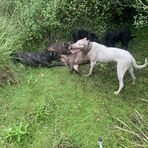 Agustin Martínez - Facebook Profile Picture of Agustin Martínez (@Agustin-Martínez) on Facebook