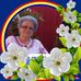 Profile Picture of Virginia Lazar (@virginia.lazar.50) on Facebook