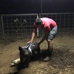 Profile Picture of Gary Spivey (@mrstealyourpizzarolls) on Instagram