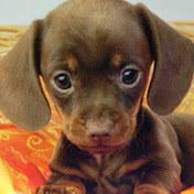 Profile Picture of Julie Appleton (@julieappleton6776) on Youtube