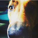 Profile Picture of Reggie (@regonalddonnerscott28) on Instagram
