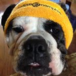 Profile Picture of Jeff Stroud (@jeff.stroud.140) on Instagram