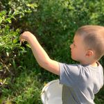 Profile Picture of Amanda Salvato (@paperafternoongarden) on Instagram