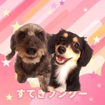 ペロ🌈 - Instagram Profile Picture of ペロ🌈 (@mill.10_25) on Instagram