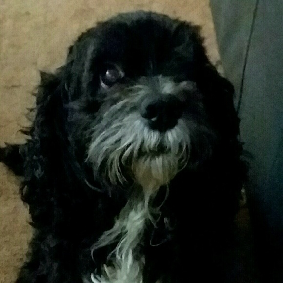 Profile Picture of Rose Carriaga (@rosecarriaga) on Poshmark