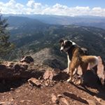 Tegan Bartholomew Brown - Instagram Profile Picture of Tegan Bartholomew Brown (@1000_miles_2018) on Instagram